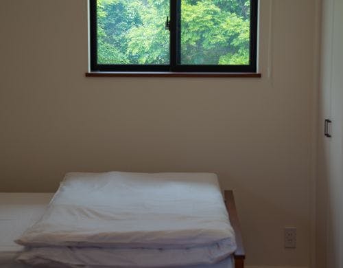 窓から見える緑