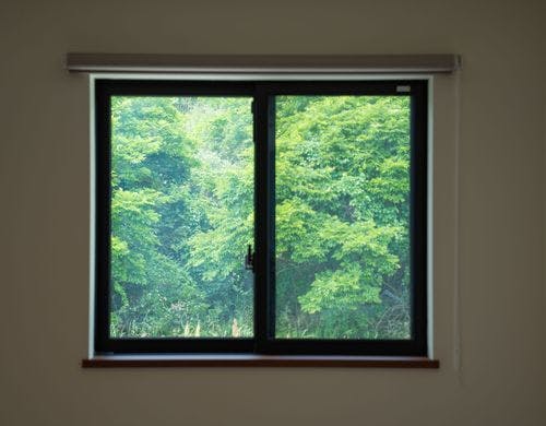 窓から見える緑