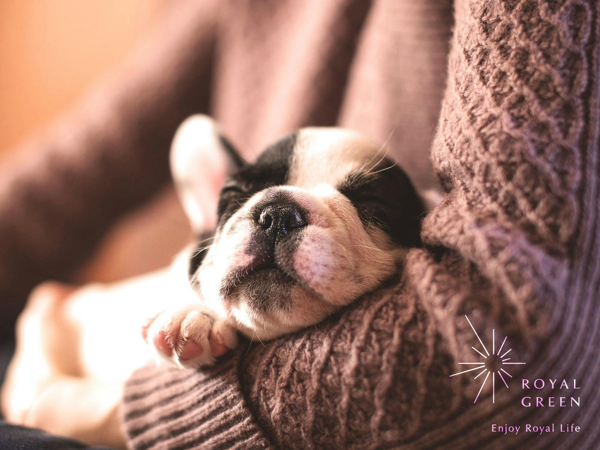 ROYAL GREEN Mito&nbsp;施設全景