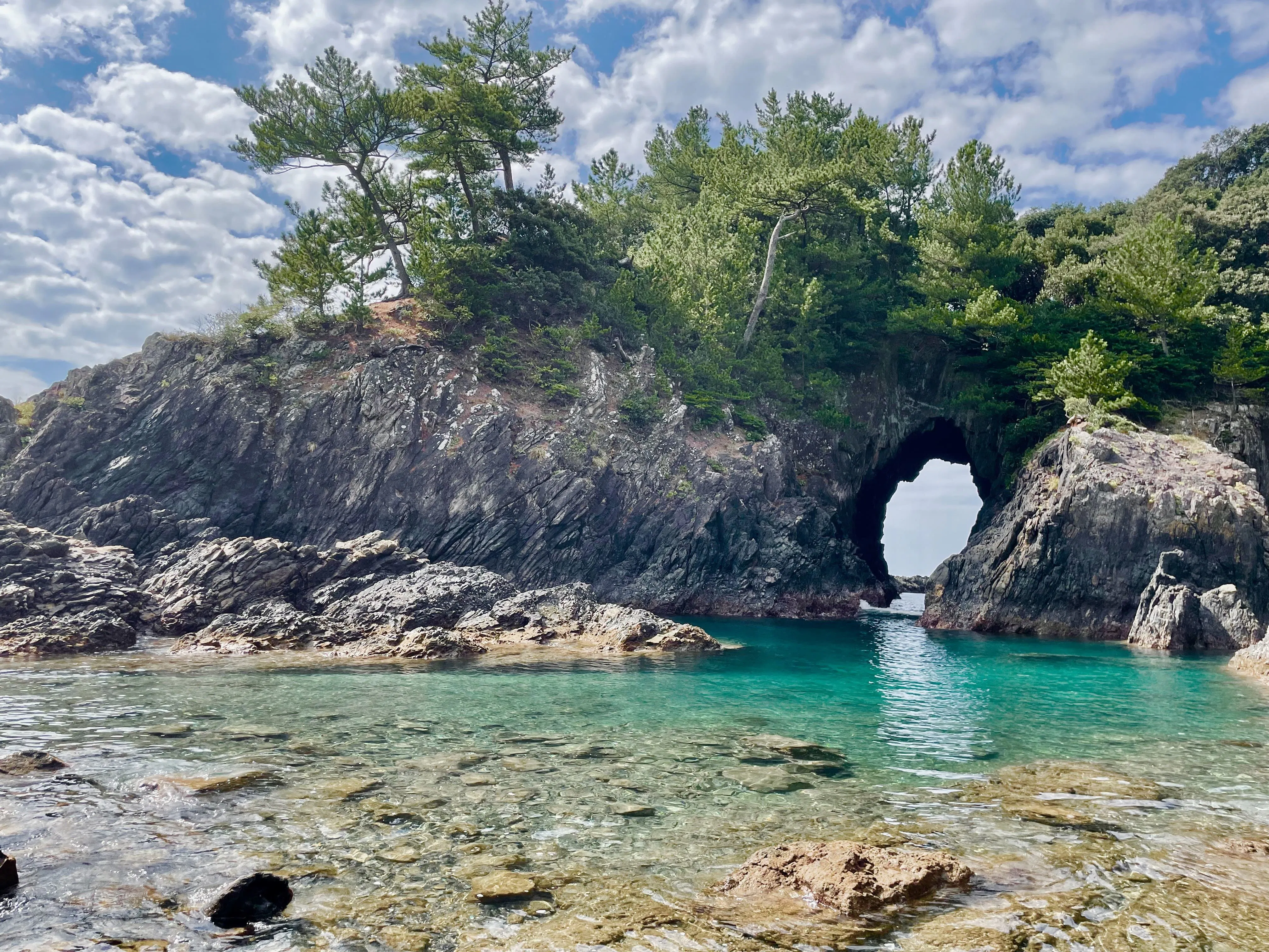 ชายฝั่งตะวันตกคาชิ