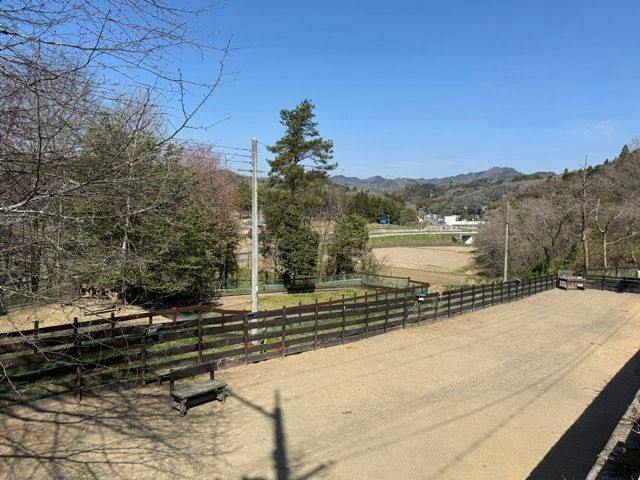 Pet-Friendly Private Cottage: Forest Village Ann