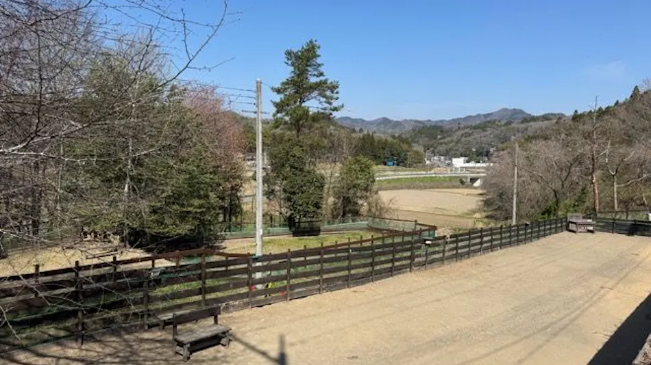 Pet-Friendly Private Cottage: Forest Village Ann