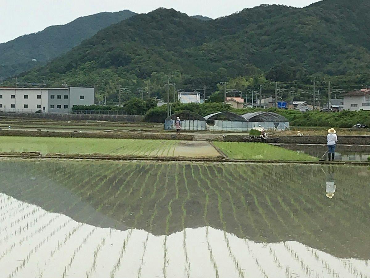 Kawabe Onsen Accommodation Kisaku