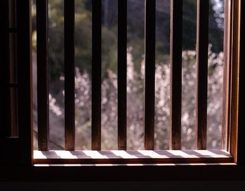 鳥の声で目覚める、やさしい朝