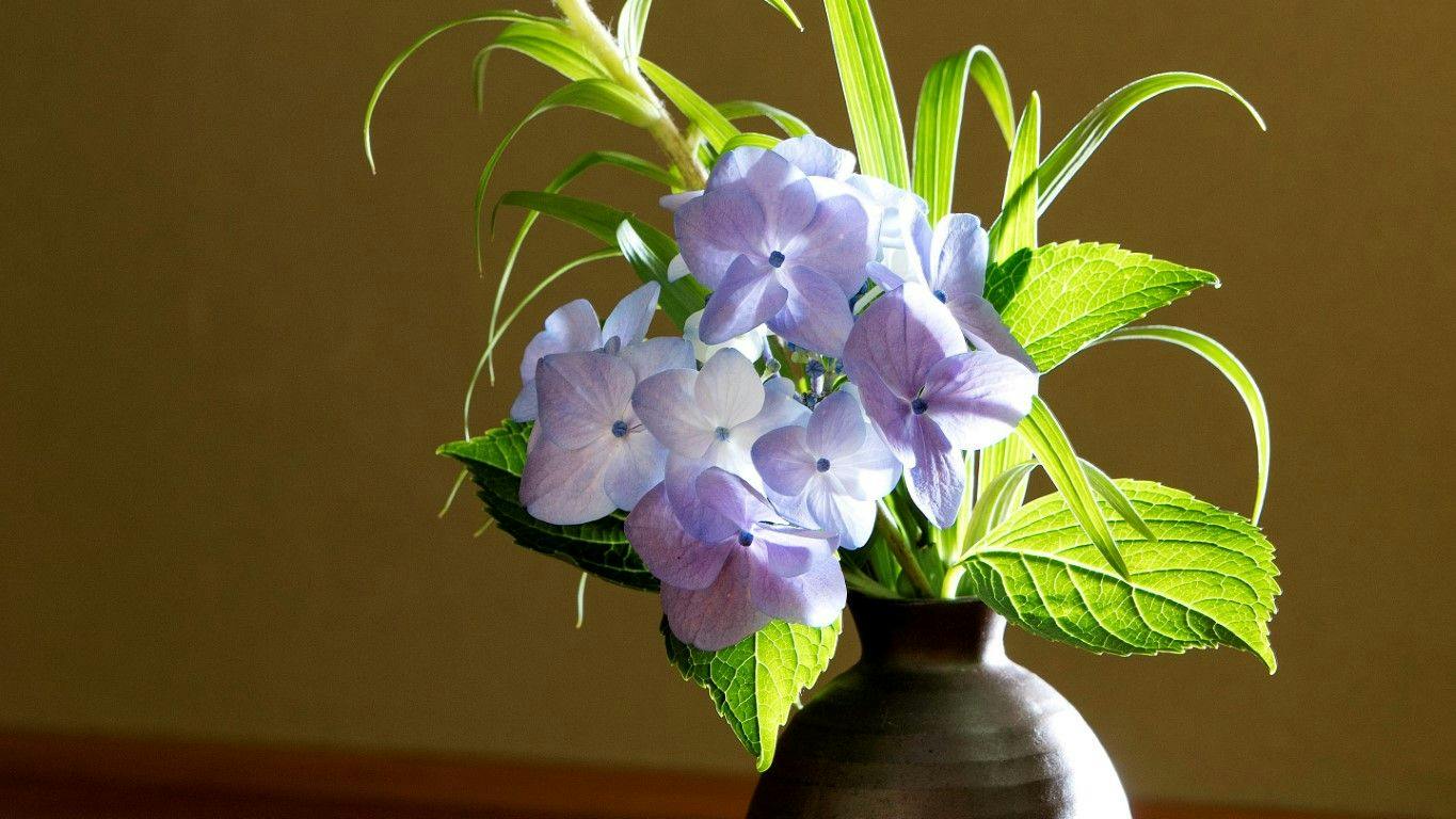 Ryokan Warabino