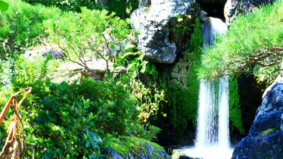 Yuusuge Onsen Ryokan
