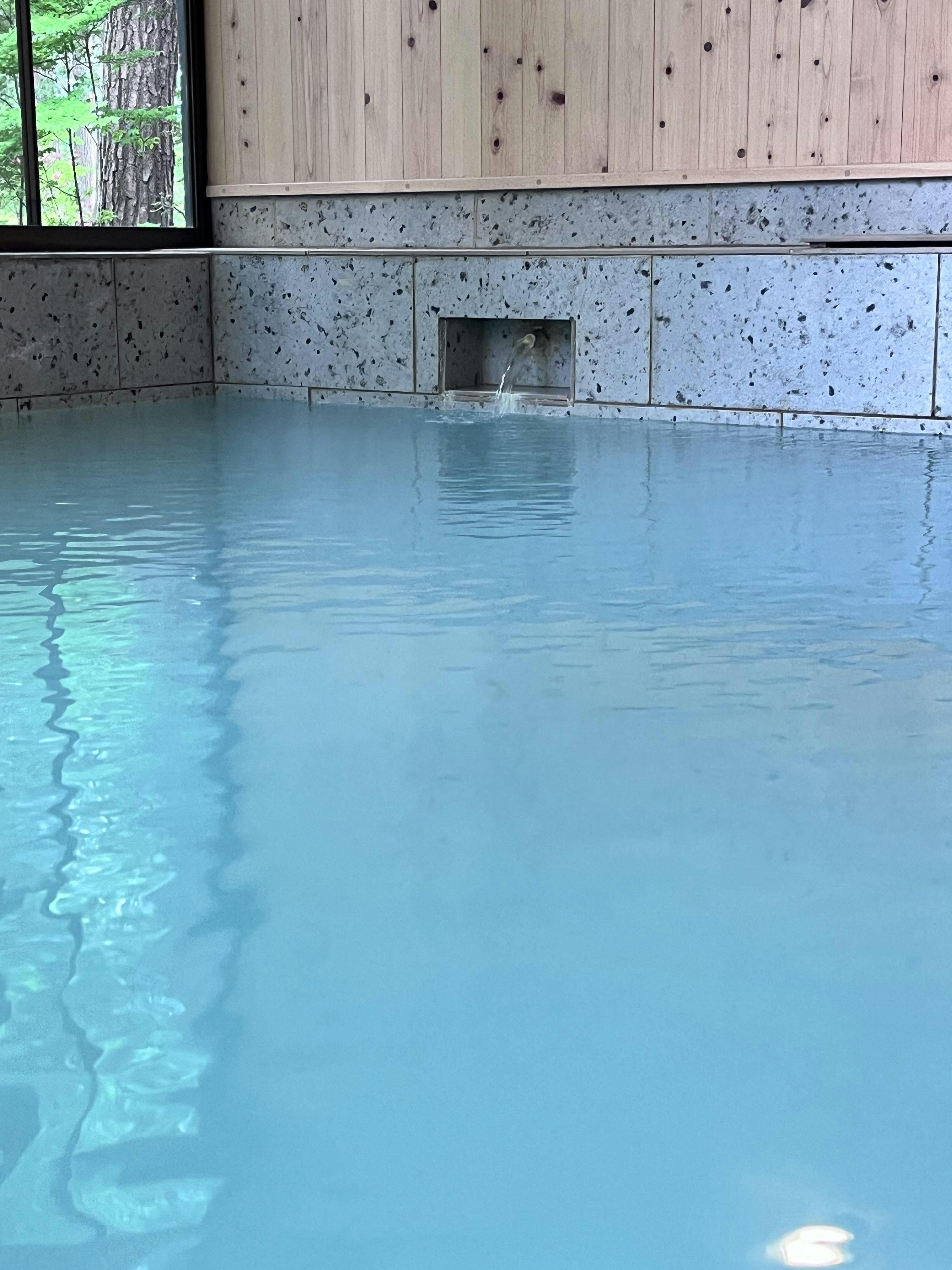 Kusatsu Shirane Mountain View Lodge
