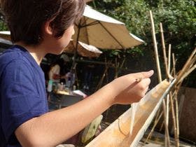 THE　BAMBOO　FOREST