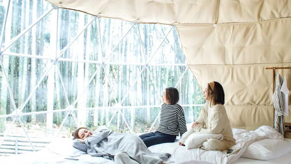 THE BAMBOO FOREST
