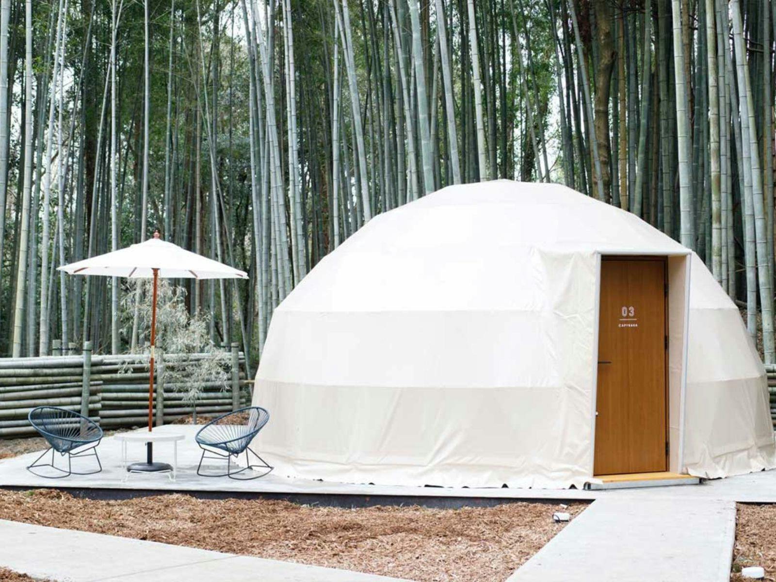 THE BAMBOO FOREST