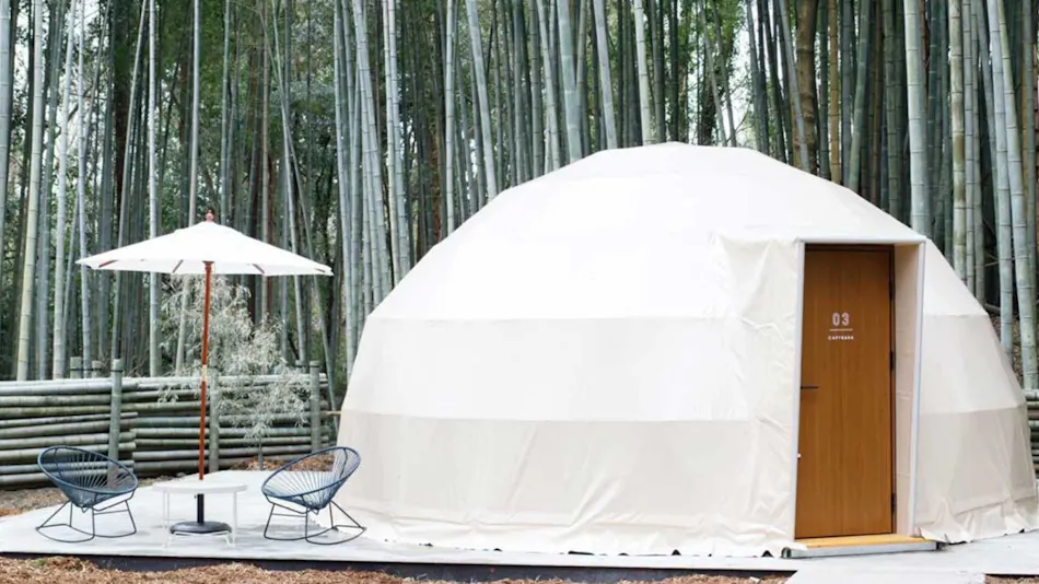 THE BAMBOO FOREST