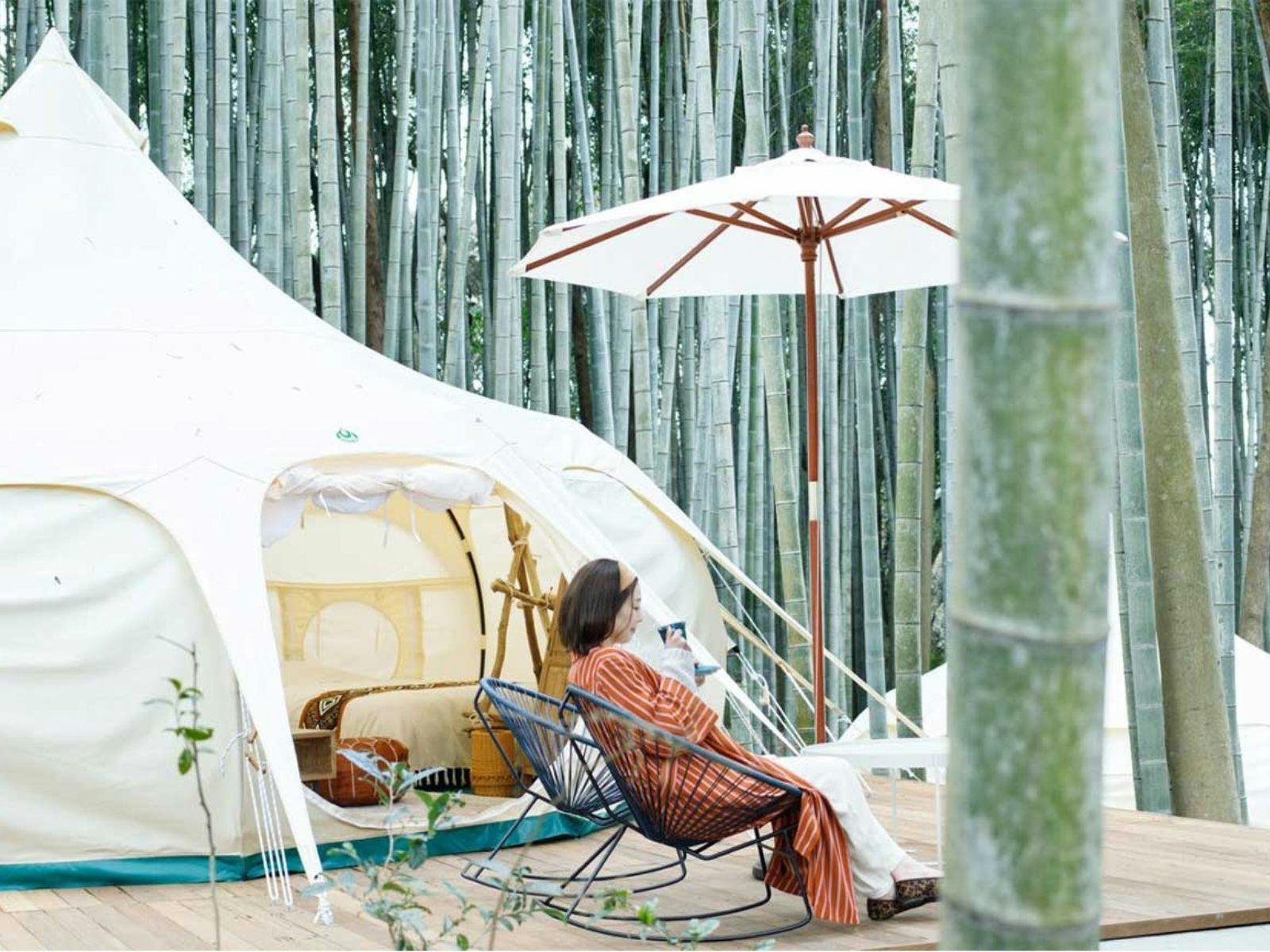 THE BAMBOO FOREST