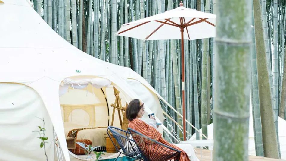 THE BAMBOO FOREST