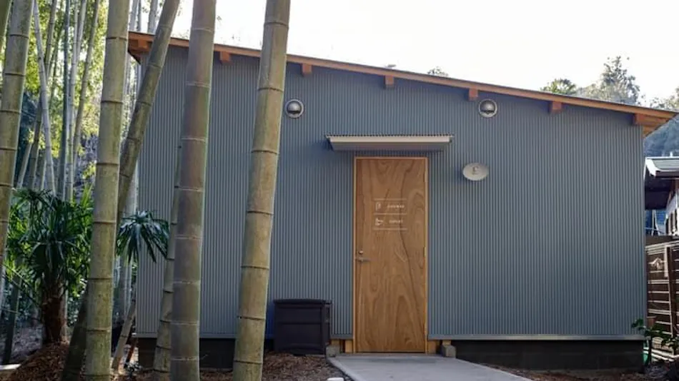 THE BAMBOO FOREST