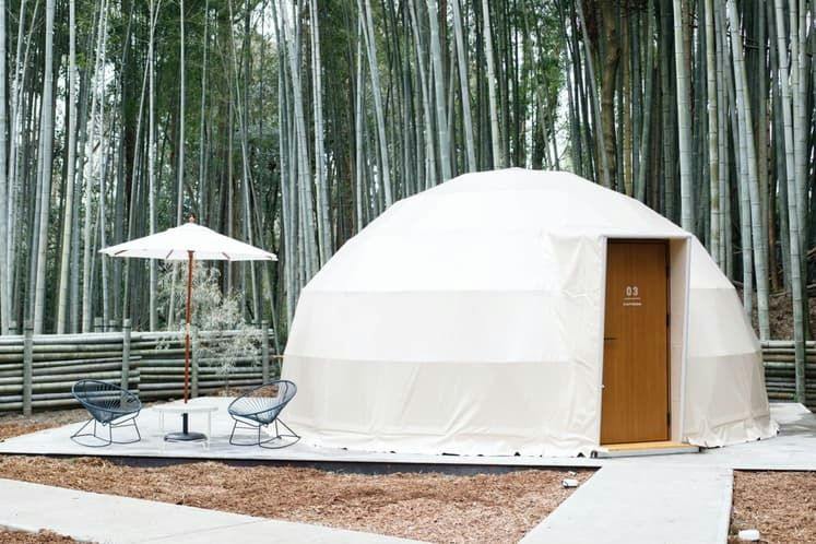 THE BAMBOO FOREST