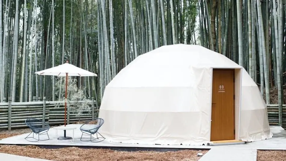 THE BAMBOO FOREST