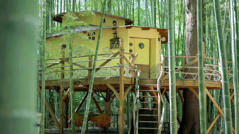 THE BAMBOO FOREST
