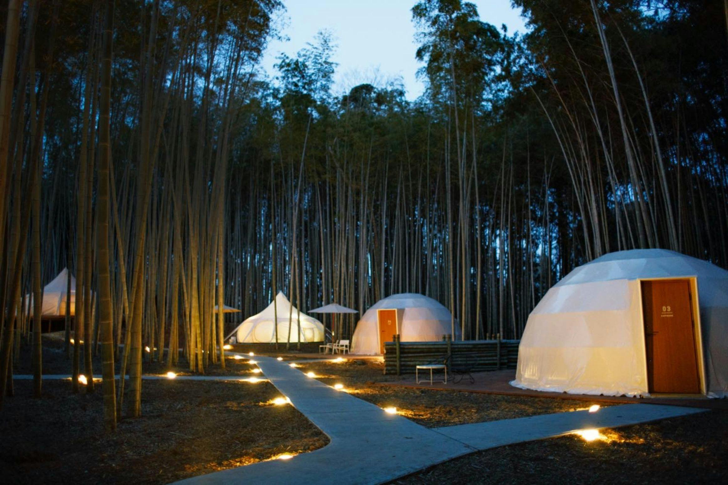 THE BAMBOO FOREST