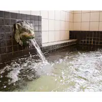 ห้องอาบน้ำเป็นแบบห้องอาบน้ำส่วนตัวสำหรับครอบครัว