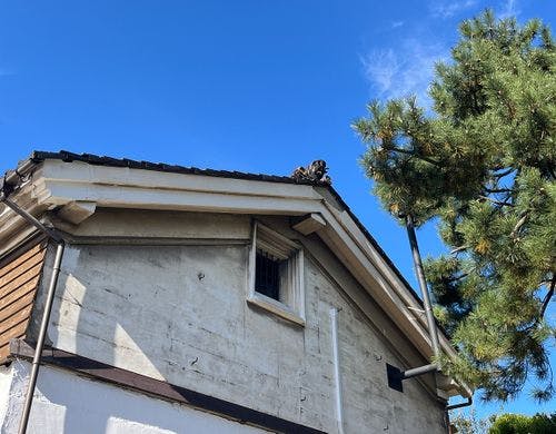 蔵楽　k u r a r a