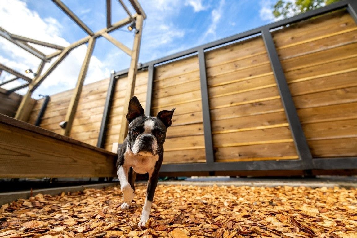 THE BASE GLAMPING YUGAWARA