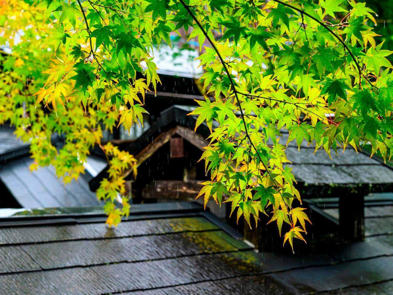 Yufuin Ryokan Yufumomiji