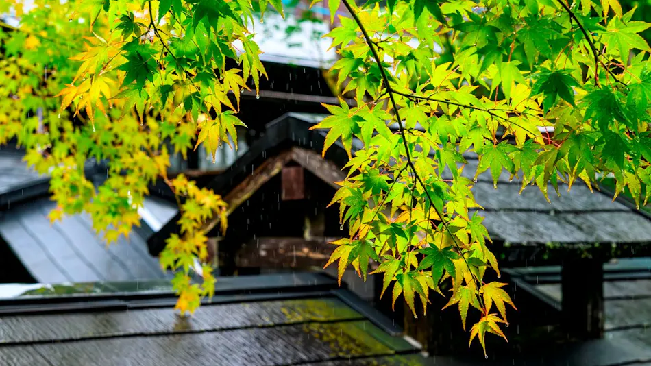 Yufuin Ryokan Yufumomiji