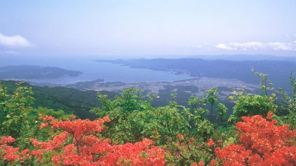 Rikuzentakata Tamanoyu
