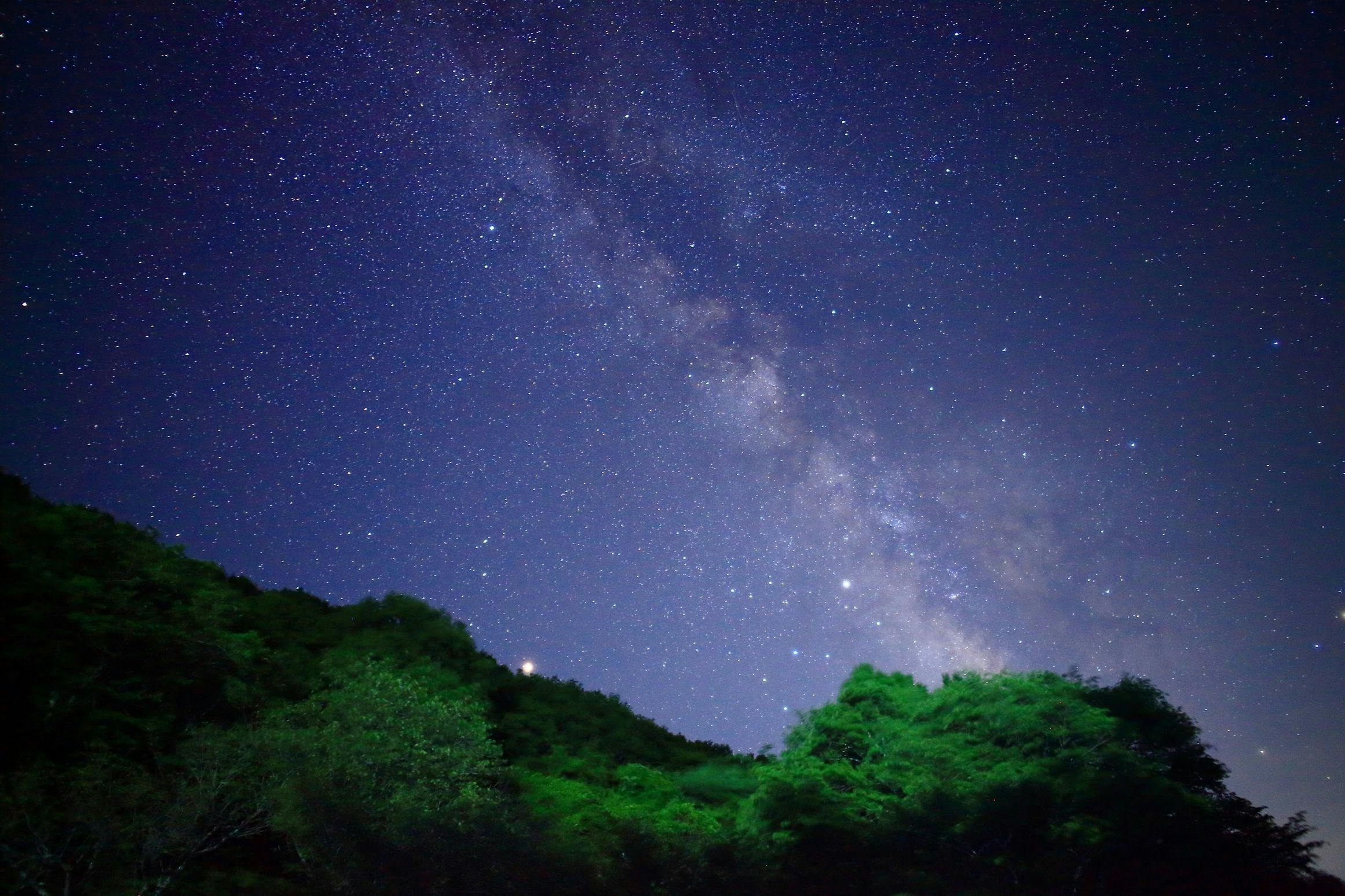Rikuzentakata Tamanoyu