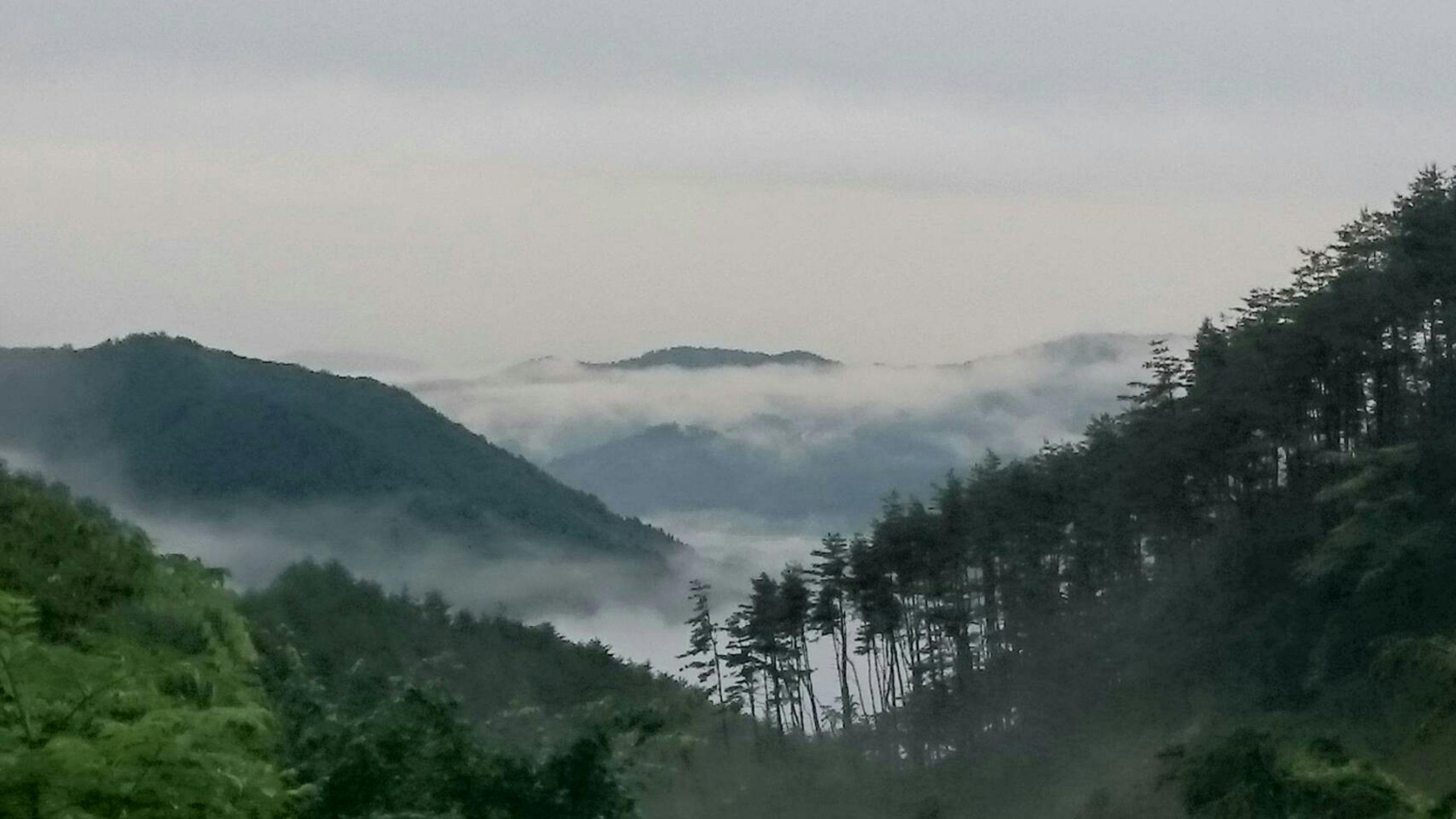 Rikuzentakata Tamanoyu