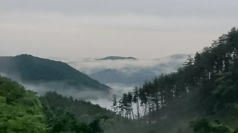 Rikuzentakata Tamanoyu