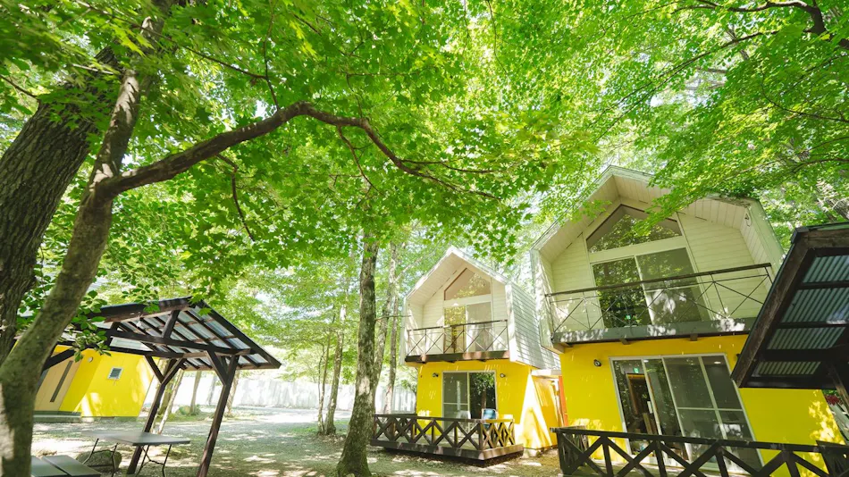 Mimoza Retreat NASU