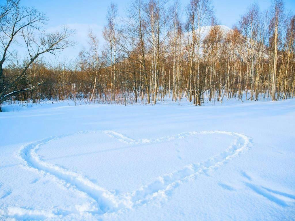 Hokkaido Glamping TAKIBI