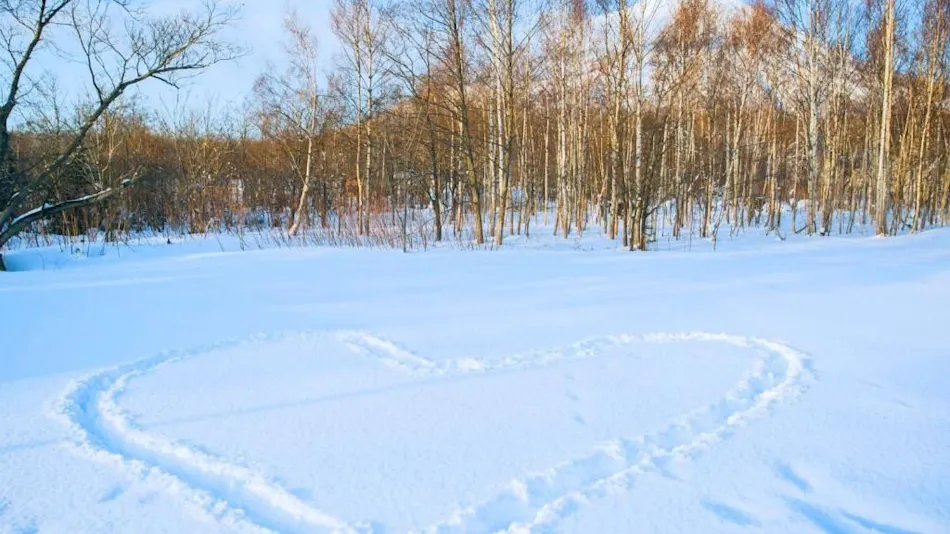 Hokkaido Glamping TAKIBI