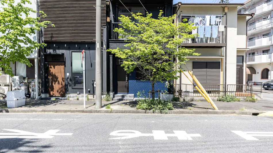 Trive Ozone Ⅱ | Trive Kids