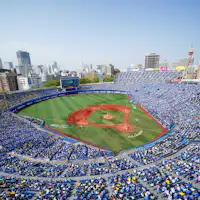 Let's energize Yokohama with enthusiastic support!