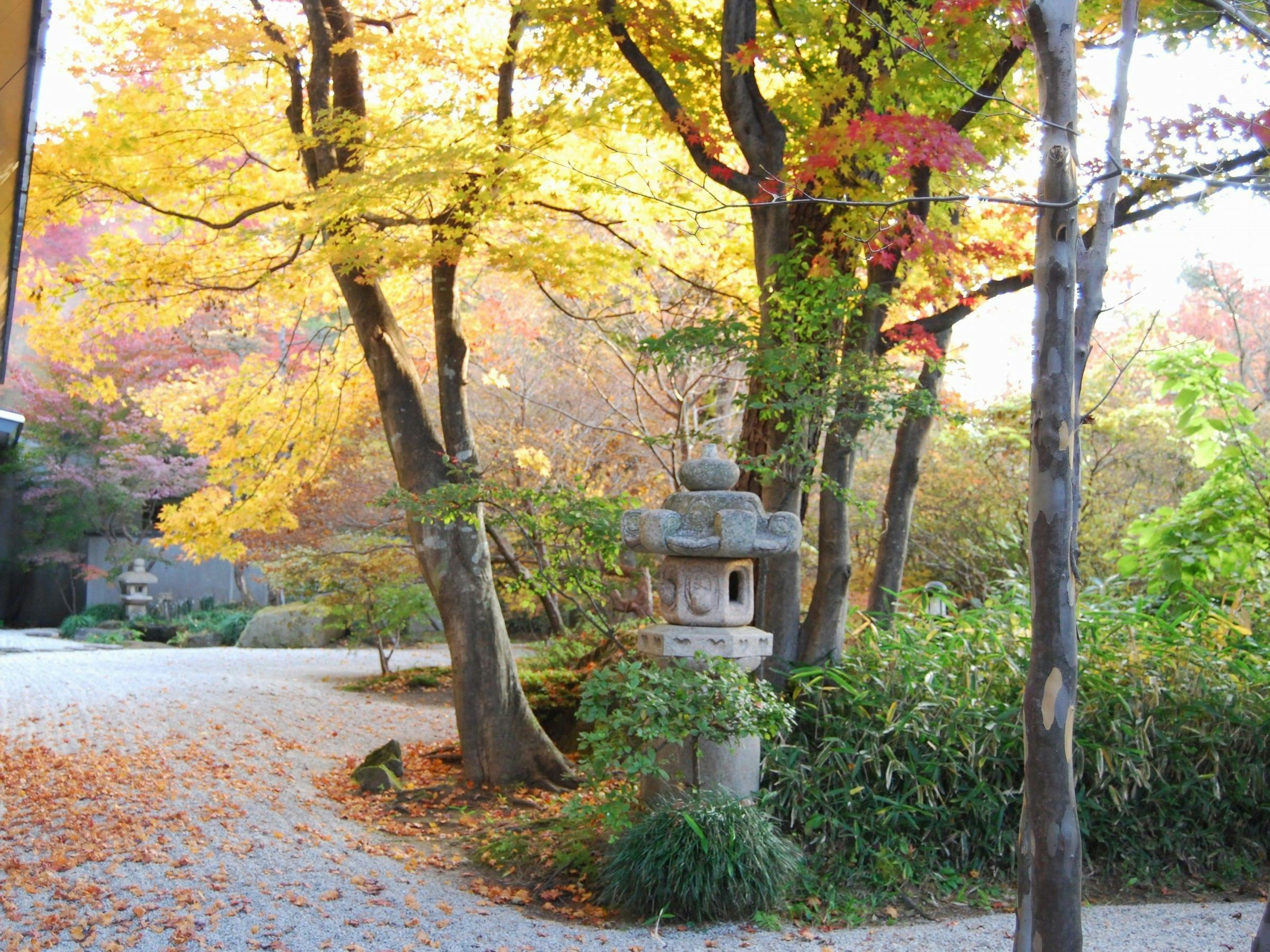 那須温泉　山楽