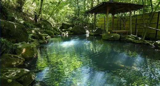 【スタンダード】那須の旬を味わう季節の会席と源泉かけ流し温泉