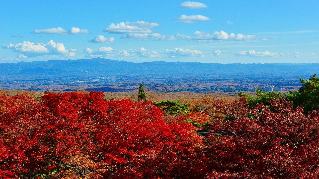 那須温泉　山楽
