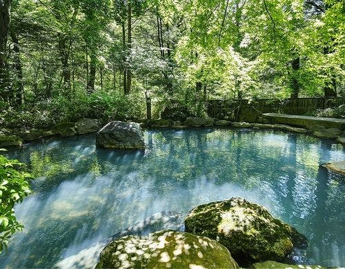 栃木県 泊まってよかった ファミリープランがある旅館 ホテル予約 Biglobe旅行