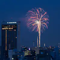 View Image of the Sumida River Fireworks Festival