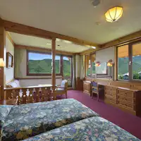 デラックスツイン