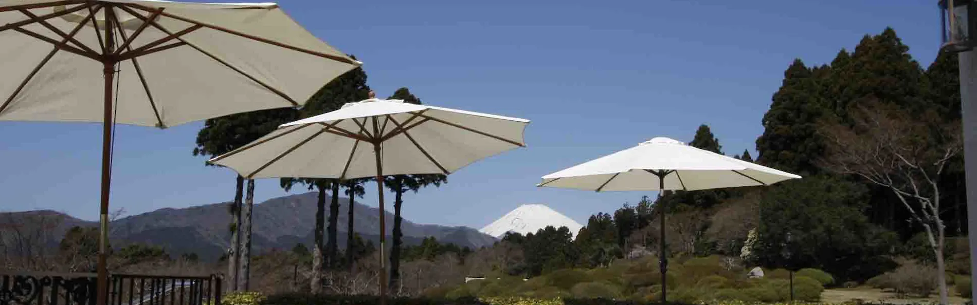 小田急 山のホテル