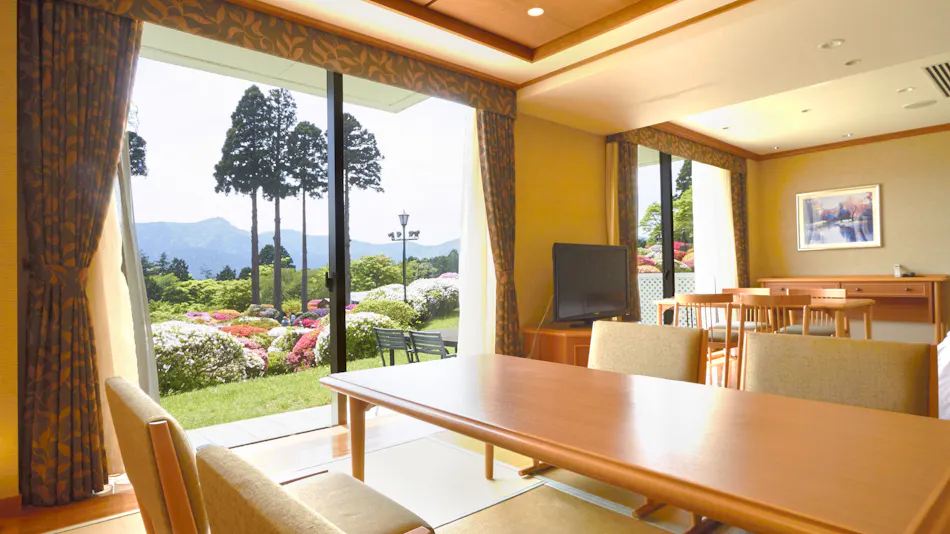 Odakyu Hotel de Yama