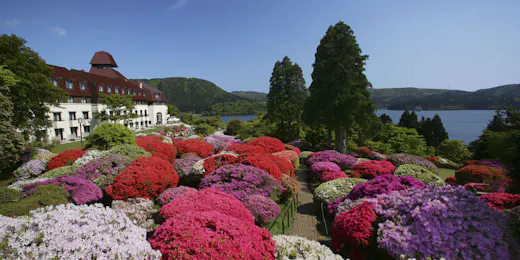 Odakyu Hotel de Yama