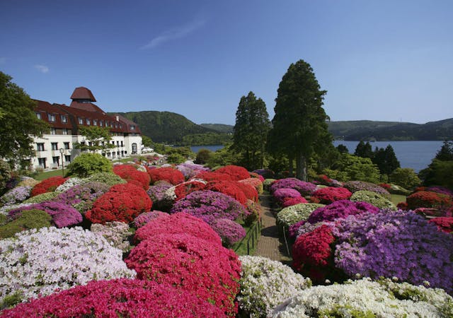 芦ノ湖 で今売れてる人気おすすめホテル 旅館をチェック 芦ノ湖 で今売れてる人気おすすめホテル 旅館をチェック