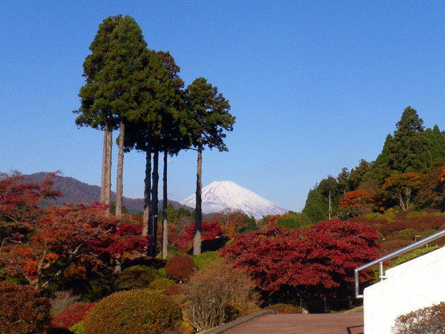 小田急 山のホテル