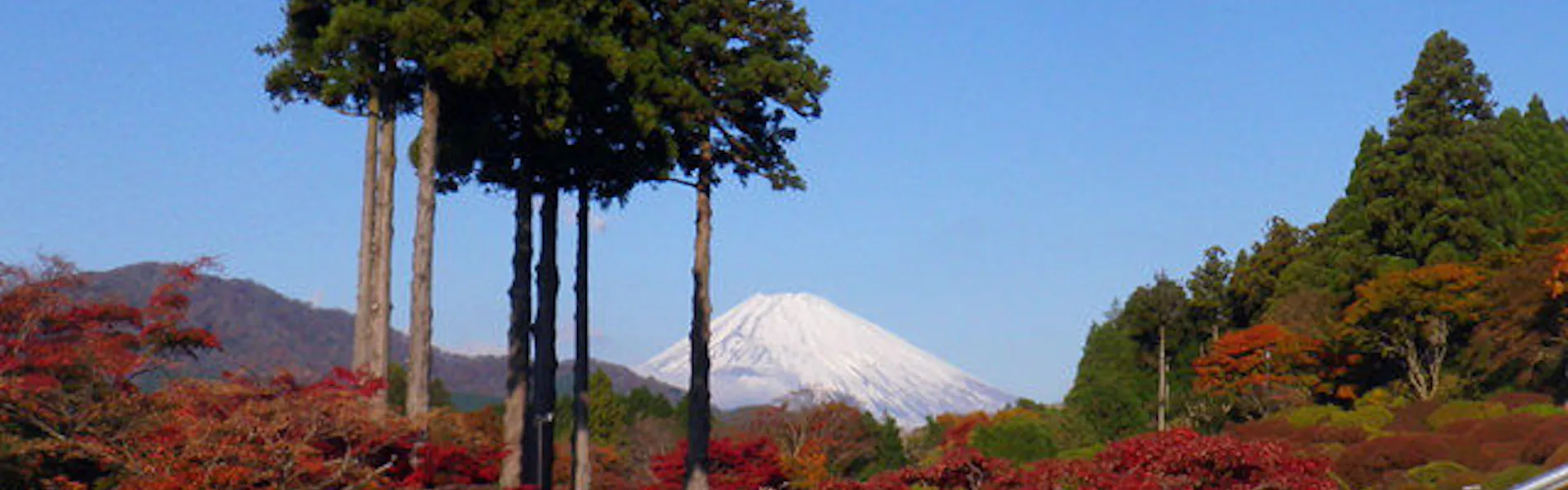 小田急 山のホテル
