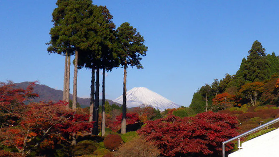 Odakyu Hotel de Yama