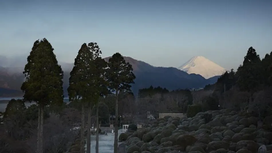 Odakyu Hotel de Yama
